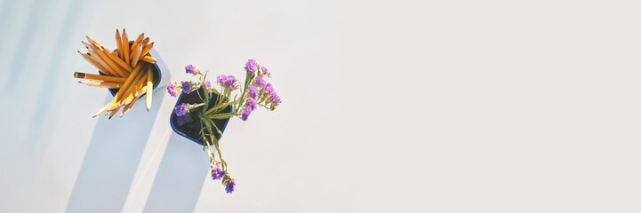 Top view of pencils in pot and purple flowers on minimalist white background.