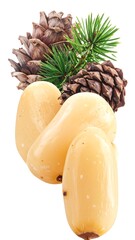 Close-up of pine nuts with cones and a sprig against white background