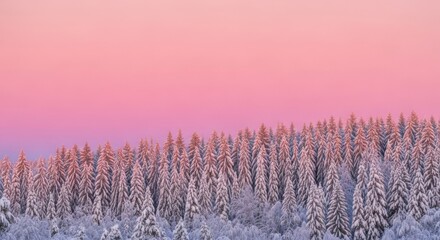 Winter wonderland at dusk for international mountain day celebrations