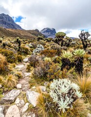 A high-altitude hiking trail winds through mountainous terrain