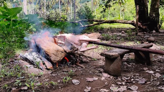 Philippines, roasting a pig, lechon 