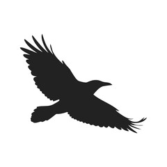 flying birds silhouettes
