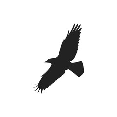 flying birds silhouettes