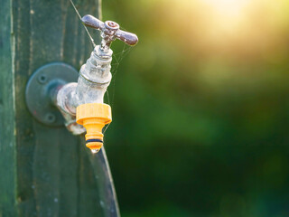 A rusty old faucet with a yellow plastic hose connector is dripping water, dark green soft background out of focus. Soft and dreamy mood and feel.