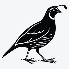 Fototapeta premium Quail line art White background illustration Generative Ai