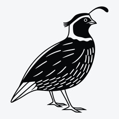 Obraz premium Quail line art White background illustration Generative Ai