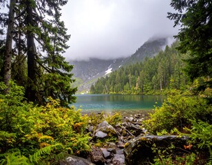 Misty mountain lake framed by forest