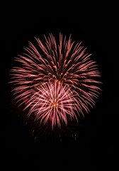 Obraz premium Captivating new year celebration fireworks display design for festive event posters