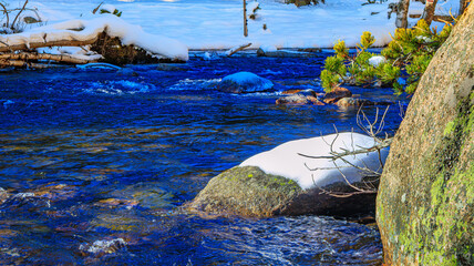 Watercourse in the Pyrenees Orientales mountains in France. Fir forest, rock and tree trunk under the snow.
