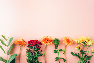 Yellow, red and orange flowers arranged in a row on pastel peach background. Spring floral composition, natural beauty concept. Top view, flat lay, copy space