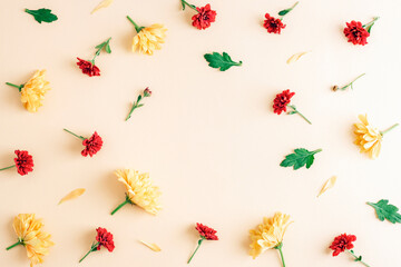 Yellow and red chrysanthemum flowers scattered on beige background. Floral pattern, autumn minimal concept. Flat lay, copy space