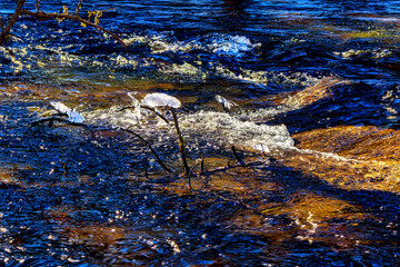 Watercourse in the Pyrenees Orientales mountains in France. Fir forest, rock and tree trunk under the snow.
