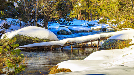 Watercourse in the Pyrenees Orientales mountains in France. Fir forest, rock and tree trunk under the snow.
