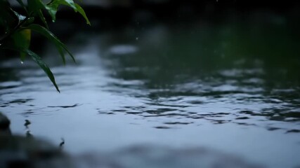 A serene, atmospheric close-up captures water droplets falling from vibrant green plant leaves onto a dark, rippling water surface, creating concentric circles of calm. - Powered by Adobe
