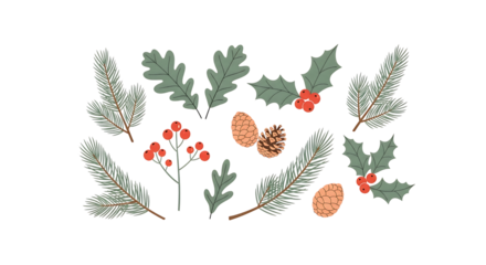 Festive winter botanical elements illustration with pine branches holly and berries