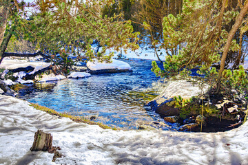 Watercourse in the Pyrenees Orientales mountains in France. Fir forest, rock and tree trunk under the snow.
