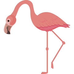 Pink Flamingo Standing On One Leg With Neck Curled Forward And Beak Pointed Down Against A White Background Simple Vector Illustration