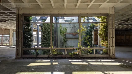 Fototapete Rund Gebäude In Trümmer Terrarium inside derelict factory warehouse. Indoor garden, sun-light, shadows, deserted industrial architecture. Post apocalyptic desolate building. Empty wasteland, greenery, nature reclaiming.  © MikeBeverley