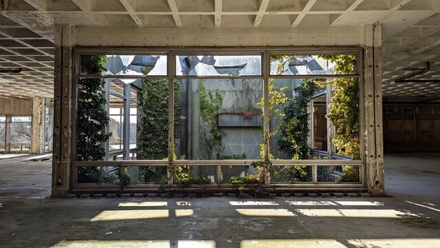 Terrarium inside derelict factory warehouse. Indoor garden, sun-light, shadows, deserted industrial architecture. Post apocalyptic desolate building. Empty wasteland, greenery, nature reclaiming.