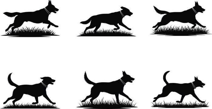 running dog silhouettes, canine motion vector, animal locomotion icon set, cad drawing flat vector illustration