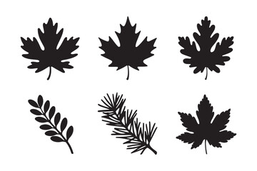 Collection of black silhouette autumn leaves and pine needles