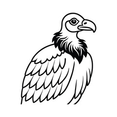 Vulture Vector Illustration black and white drawing isolated image art