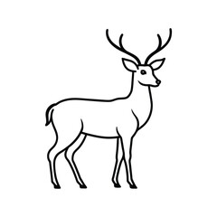 Elegant deer outline illustration standing on white background minimalism style