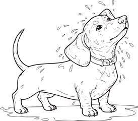 Adorable dachshund puppy shaking off water after bath, a charming pet illustration perfect for animal lovers and educational materials, originally a scalable vector graphic