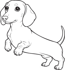 Playful dachshund puppy ready for a walk, cute dachshund with expressive eyes, charming pet illustration, friendly dog waiting for playtime, originally a scalable graphic