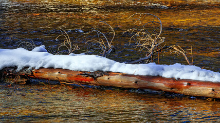 Watercourse in the Pyrenees Orientales mountains in France. Fir forest, rock and tree trunk under the snow.
