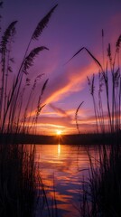 A breathtaking sunset over the water, the golden sun casts a warm glow across the surface
