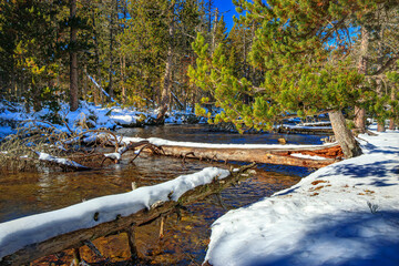 Watercourse in the Pyrenees Orientales mountains in France. Fir forest, rock and tree trunk under the snow.
