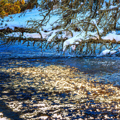 Watercourse in the Pyrenees Orientales mountains in France. Fir forest, rock and tree trunk under the snow.
