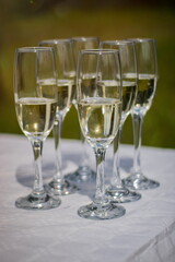 Close-up of champagne glasses filled with sparkling wine on a white tablecloth, ready for celebration at an outdoor event.