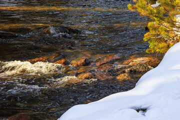 Watercourse in the Pyrenees Orientales mountains in France. Fir forest, rock and tree trunk under the snow.
