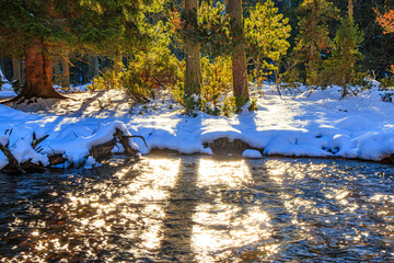Watercourse in the Pyrenees Orientales mountains in France. Fir forest, rock and tree trunk under the snow.

