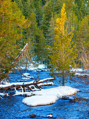Watercourse in the Pyrenees Orientales mountains in France. Fir forest, rock and tree trunk under the snow.
