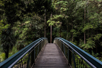 Footbridge Amidst Lush Green Forest Environment Scenery Scene