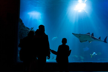 Silhouettes of family watching a large shark swim in a huge blue aquarium tank with light rays from above. Concept of family bonding, marine education, and childhood wonder.