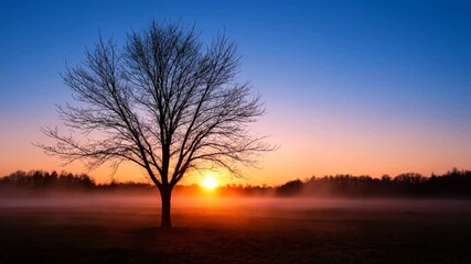 Silhouette of a bare tree against a vibrant sunrise with mist rolling across a field - Powered by Adobe