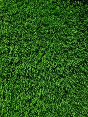 Close-up of long artificial grass texture with soft green blades and realistic appearance under...