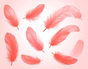 Delicate Arrangement Soft Pink Feathers Set in a Gentle Breeze