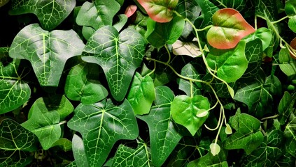 Artificial plants with wide green leaves arranged as decorative wall texture