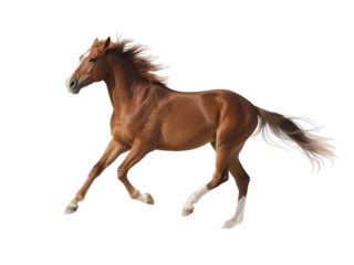A brown horse is seen in full gallop, showcasing its dynamic movement and flowing mane.
