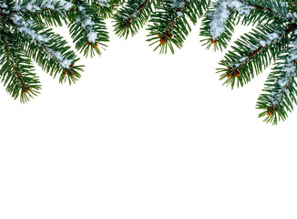 Snow-Covered Pine Branches Forming a Winter Border Isolated on Transparent Background; PNG
