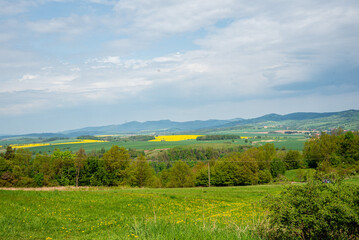 Kwitnąca polana Gąsienicowa w Tatrach