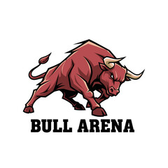 bull arena animal spain wild danger culture sport brave 
