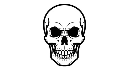 skull on white background