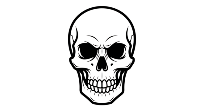 skull on white background