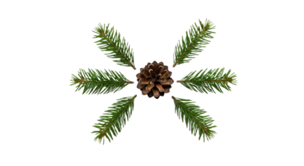 Pine Cone and Fir Branches Arranged in a Star Shape 1.